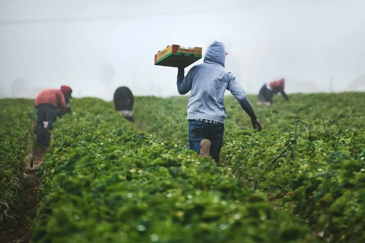 Farm Planning and Management